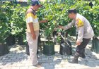 Bhabinkamtibmas-Kedungbanteng-Silaturahmi-ke-Warga-Penggerak-Ketahanan-Pangan